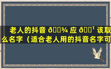 老人的抖音 🌾 应 🌹 该取什么名字（适合老人用的抖音名字可以叫些什么）